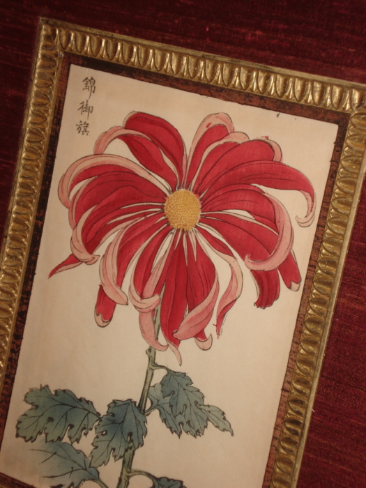 DSC00635 DSC00635