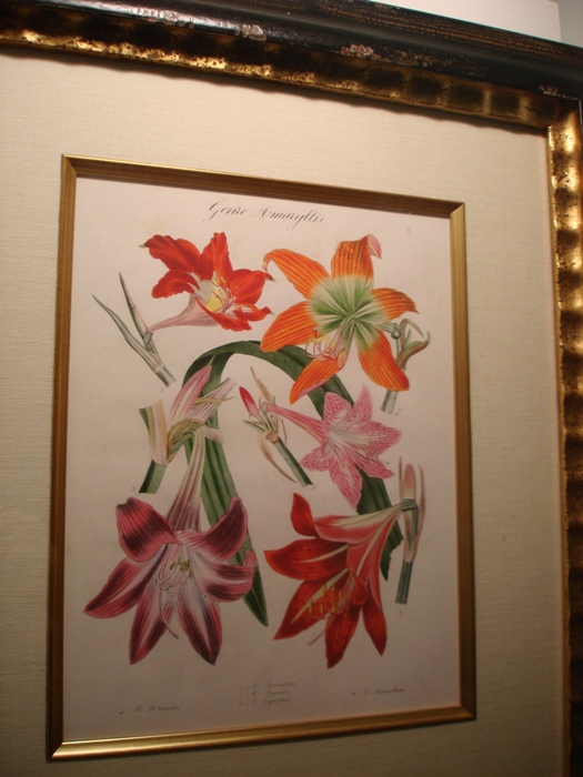 DSC02200 DSC02200
